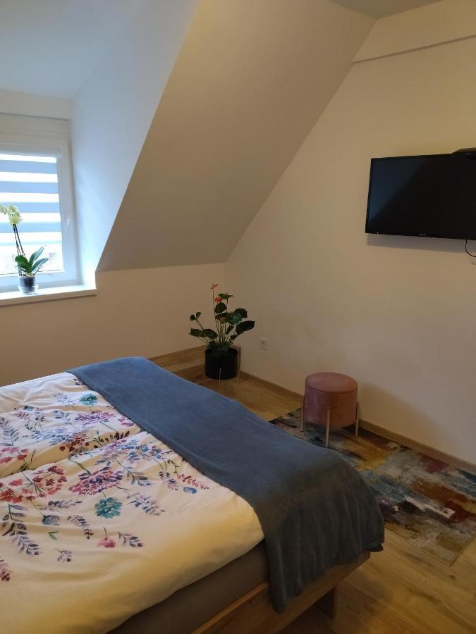 Valentin Apartman Makó Dış mekan fotoğraf