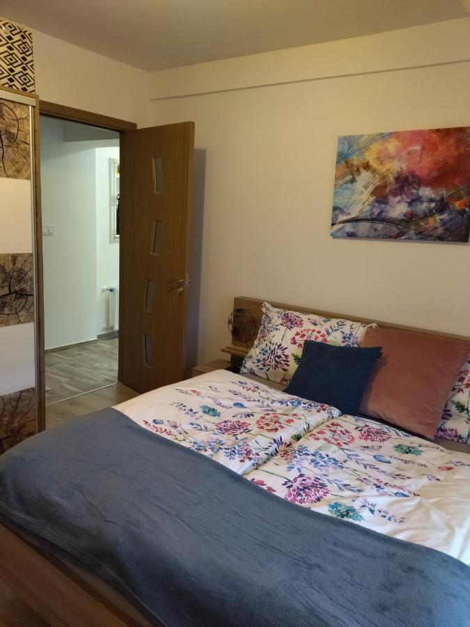 Valentin Apartman Makó Dış mekan fotoğraf
