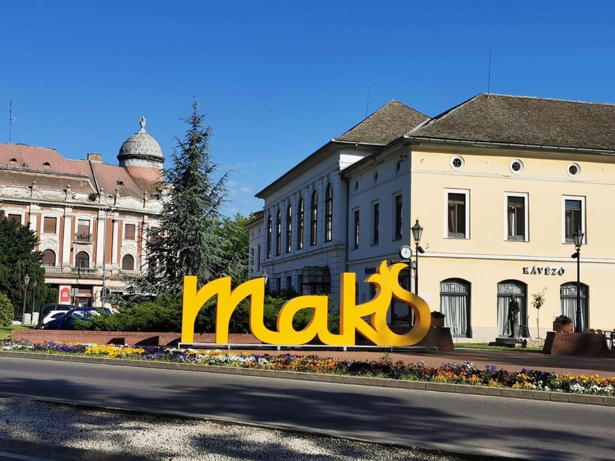 Valentin Apartman Makó Dış mekan fotoğraf
